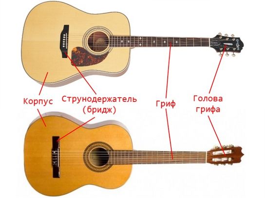 otlichie-akusticheskoy-gitaryi-ot-klassicheskoy