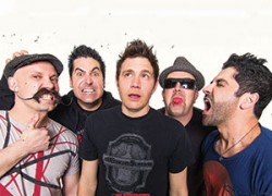 Развитие группы Zebrahead