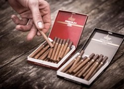 Сигариллы: стиль и традиции в одном вдохе